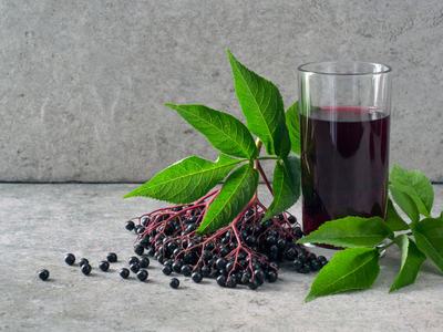 What are The Benefits of Black Elderberry