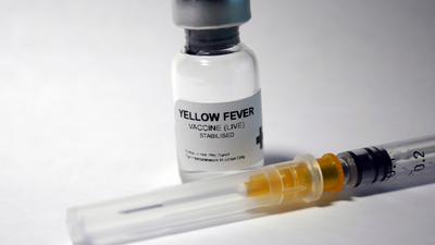 Yellow Fever Vaccine: Protect Yourself Before It's Too Late
