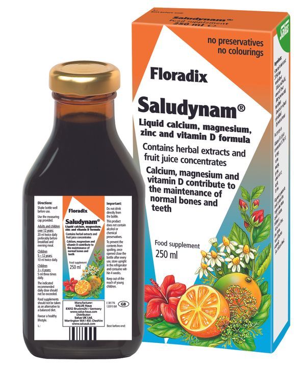 Floradix Saludynam Liquid 250ml Kennedy&